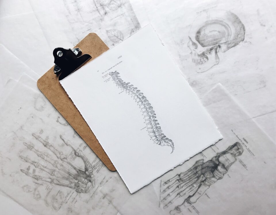 Softwares para avaliação postural em clínicas de quiropraxia