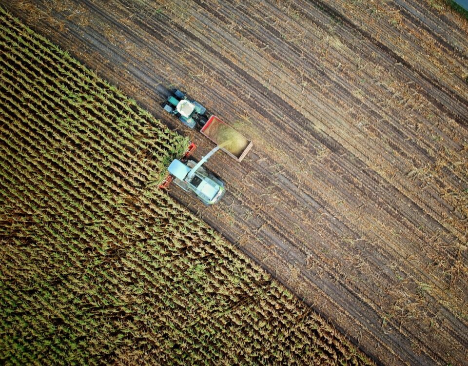 Como a Inteligência Artificial pode ser usada na agricultura? 7 Usos Incríveis! two trucks on plant field