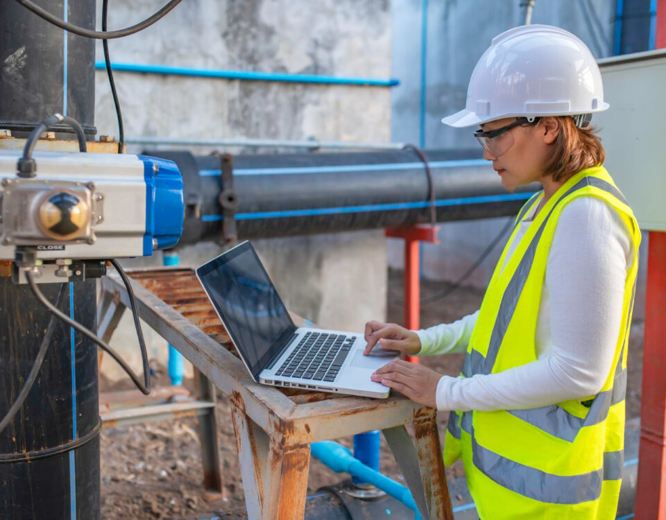 Modelos preditivos com séries densa e escassa de fluxo