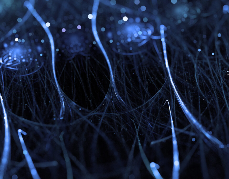 Como dados e IA estão otimizando o transplante capilar