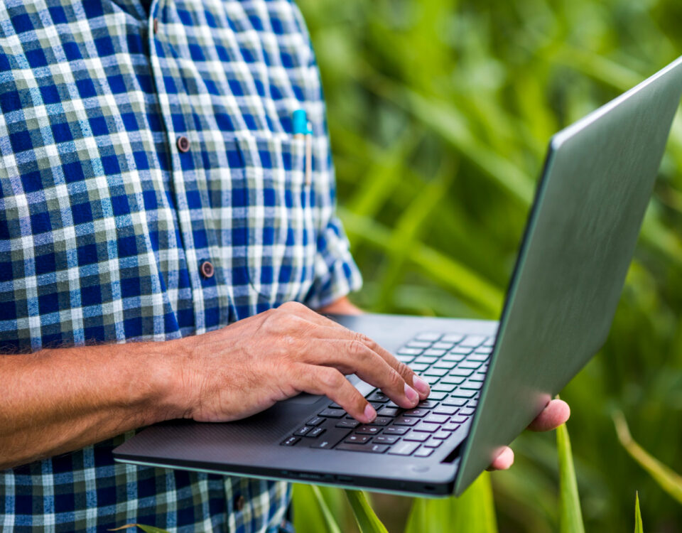 Do talhão ao caixa: dados podem sustentar a prorrogação rural?